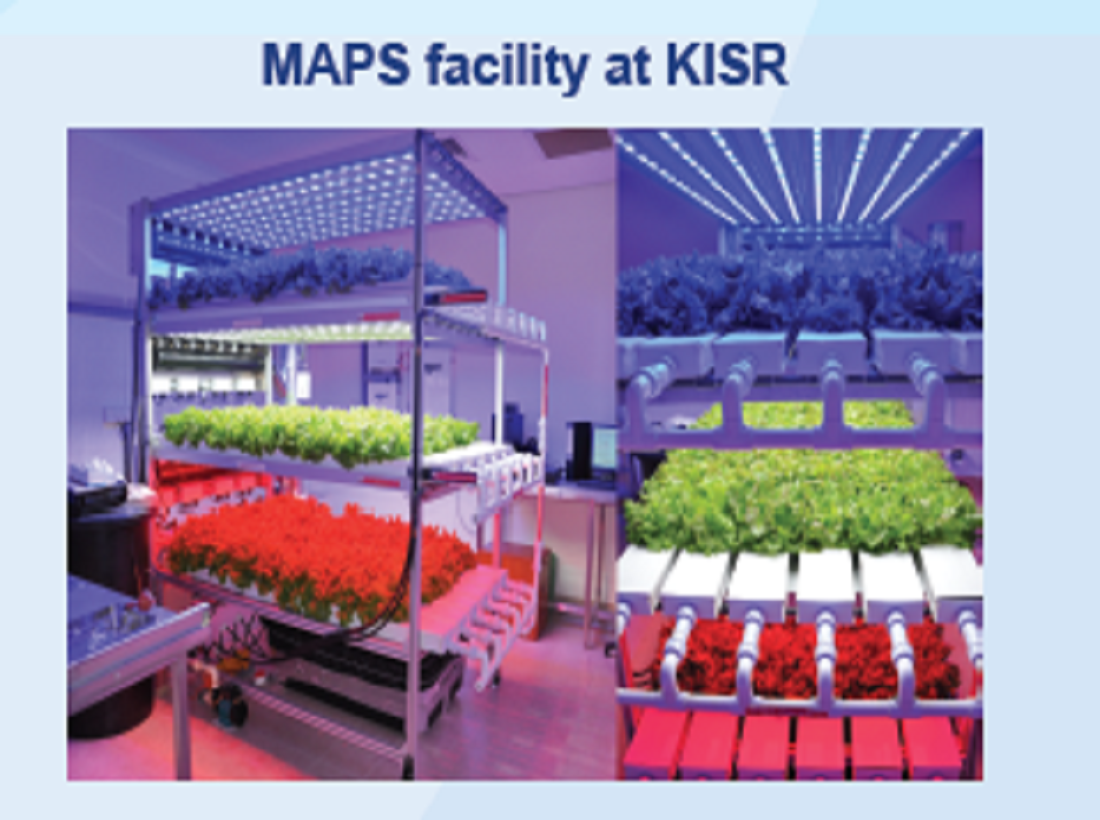Modular Agricultural Production System State-of-the-art Controlled Environment Plant Factory