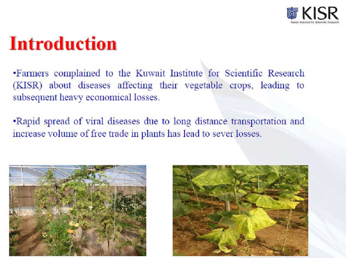 Important Multiple Plant Viruses Present on Vegetable Crops in Kuwait