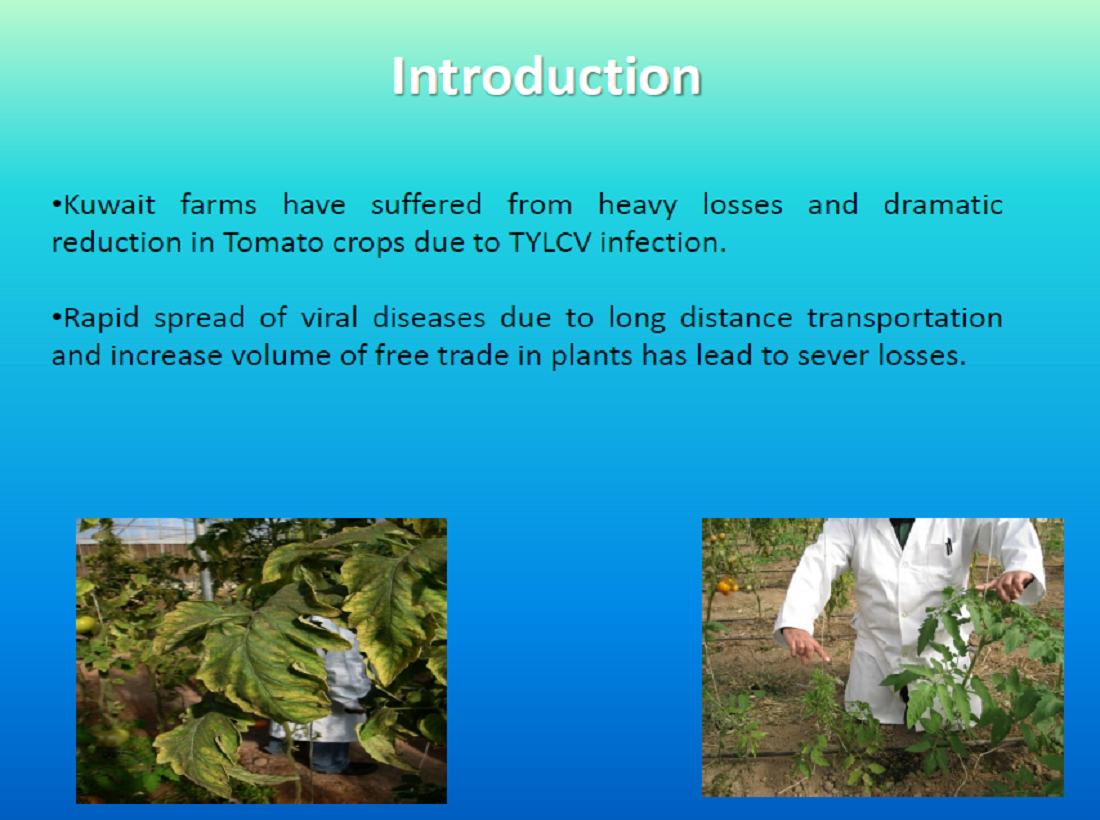 Application of Detection Technologies for Viral Diseases of Important Plant Crops in Kuwait