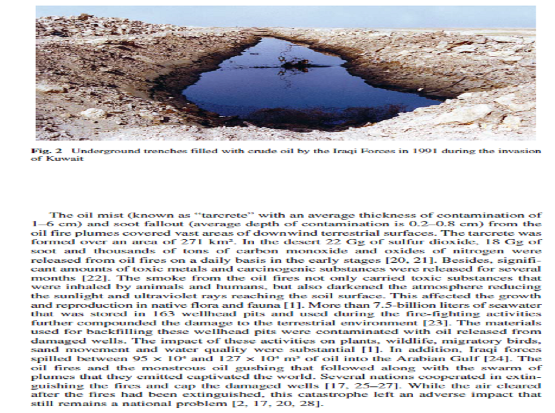 Critical assessment of the environmental consequences of the invasion of Kuwait