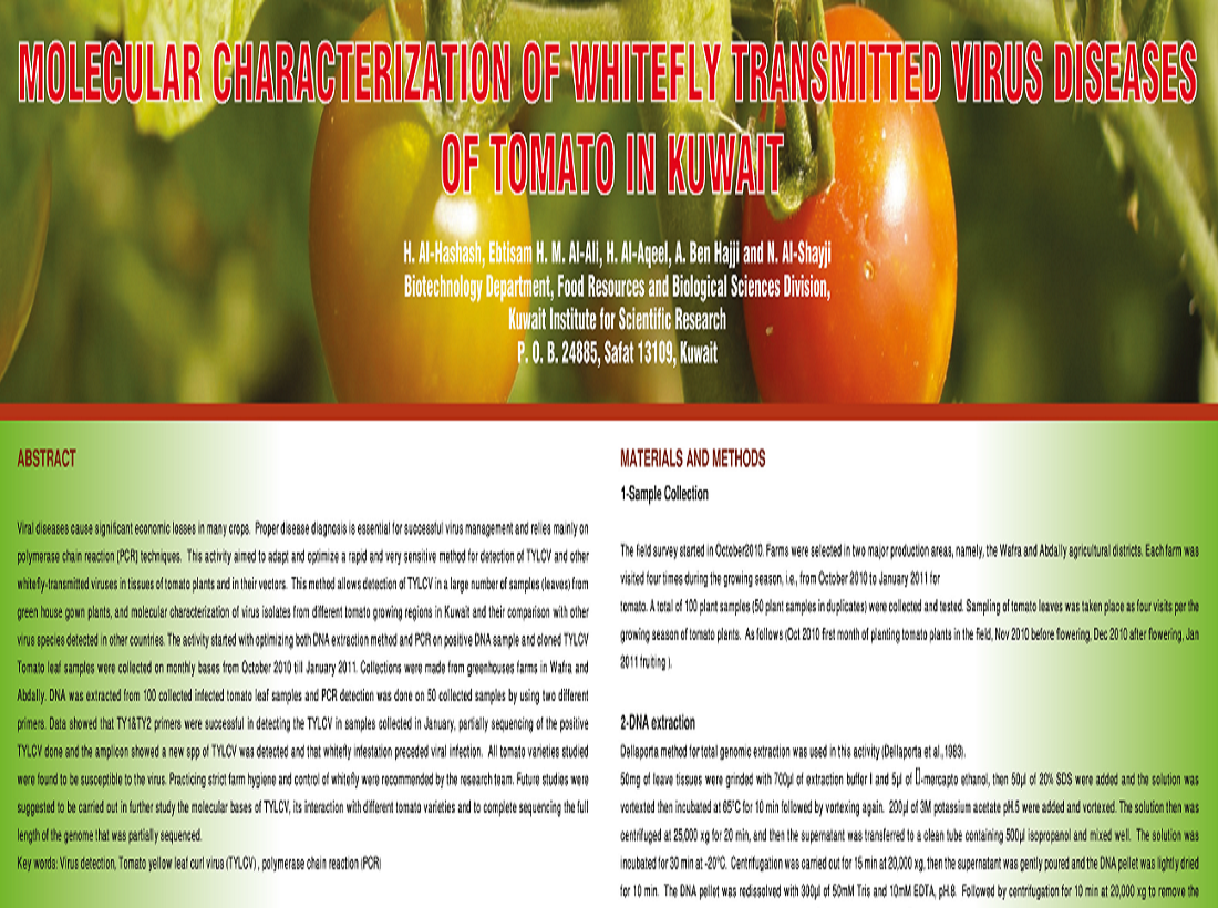 Molecular Characterization of Whitefly Transmitted Virus Diseases of Tomato in Kuwait
