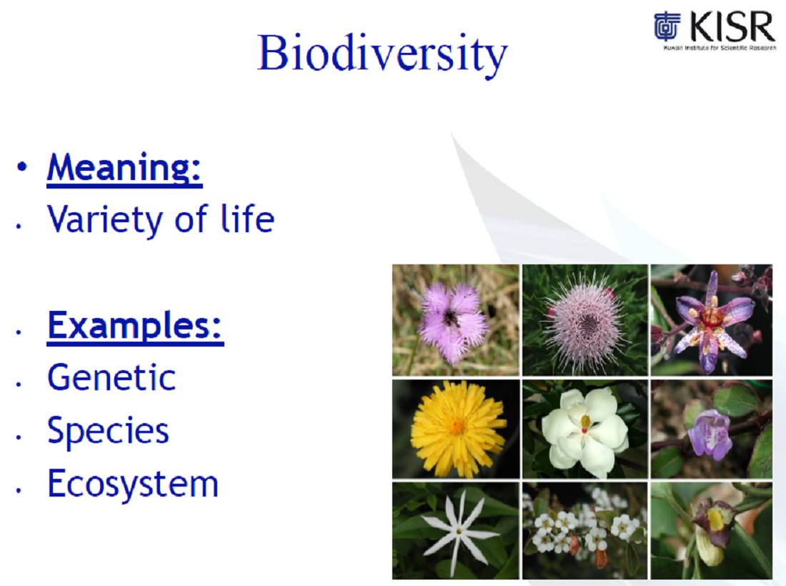 KISR Research on Biodiversity Conservation