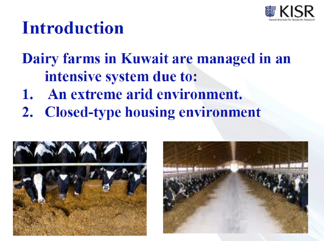Probiotics for the Use in the Development of cattle production in Kuwait