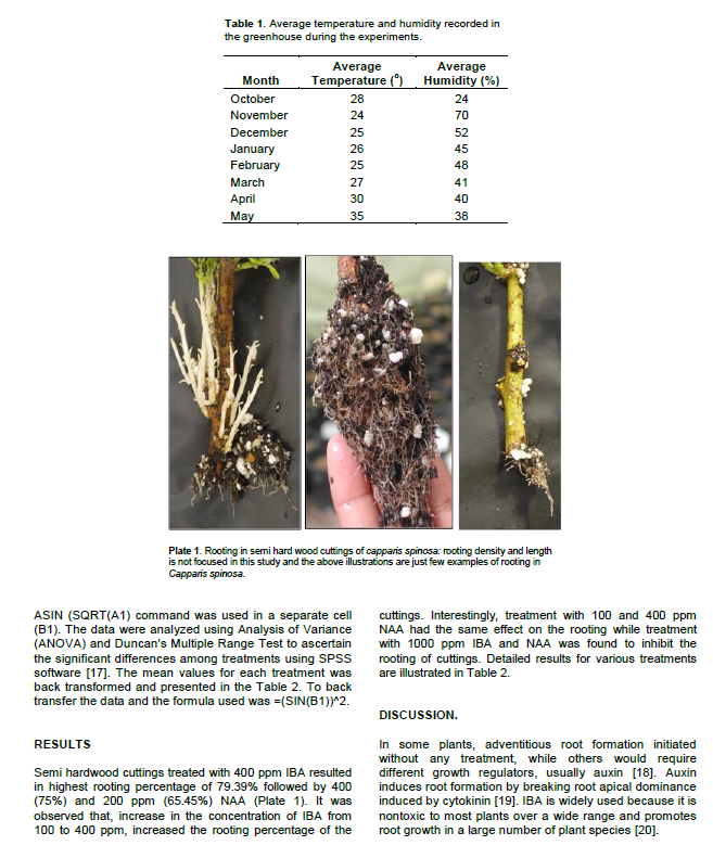 Effect of Rooting Hormones (IBA and NAA) on Rooting of Semi Hardwood Cuttings of Capparis spinosa