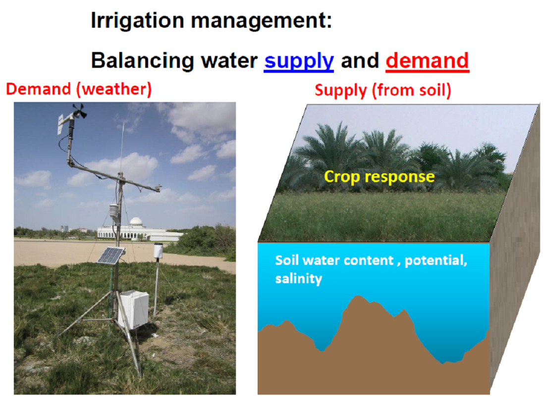 Technologies for improving irrigation water productivity in Kuwait