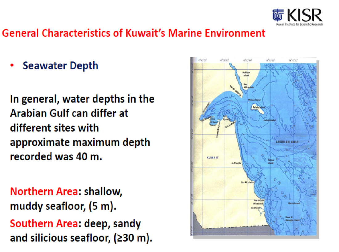 Geochemical Analysis of Marine Sediment Sample
